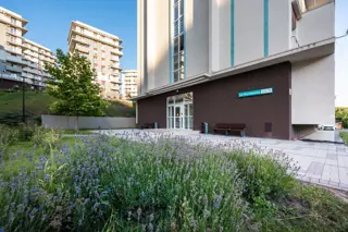 ЖК Резиденция Анаполис - фото 6