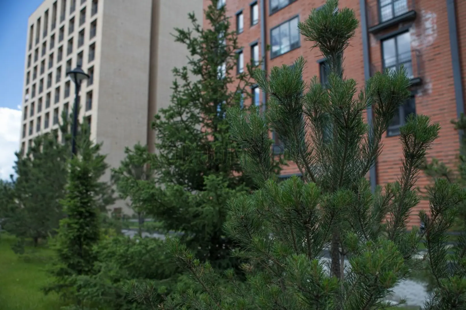 ЖК ОНЕГА | фото 19 | id-8765 ЖК ОНЕГА - новостройка бизнес-класса | фото 19 | id-8765