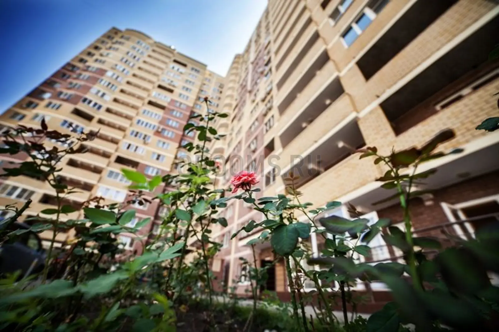 ЖК СИМФОНИЯ | фото 8 | id-13827 ЖК СИМФОНИЯ - новостройка эконом-класса | фото 8 | id-13827