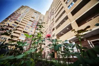 ЖК Симфония - фото 8