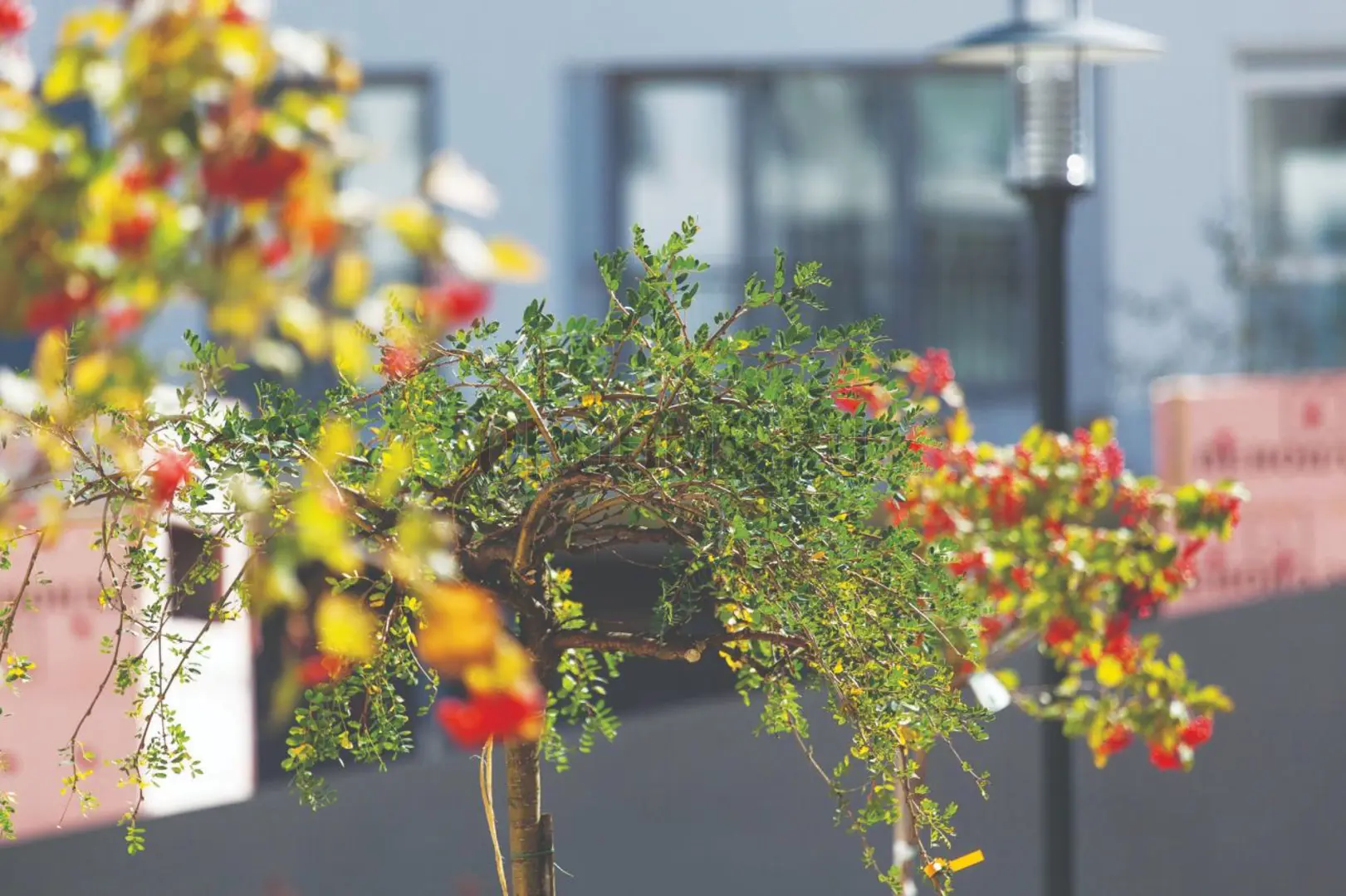 ЖК ПАНОРАМА | фото 6 | id-2684 ЖК ПАНОРАМА - новостройка эконом-класса | фото 6 | id-2684