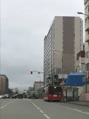 ЖК по ул. Достоевского - фото 2