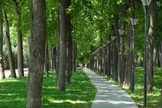 ЖК Парк у дома - фото 5