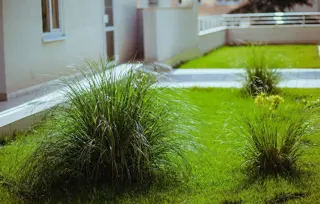 ЖК Триумф - фото 10