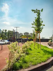 ЖК Шоколад - фото 34
