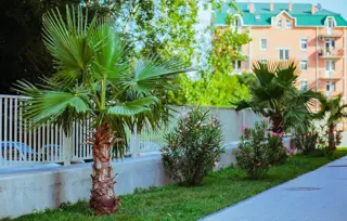 ЖК Триумф - фото 17