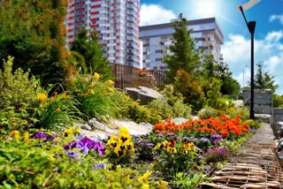 ЖК Оазис - фото 14