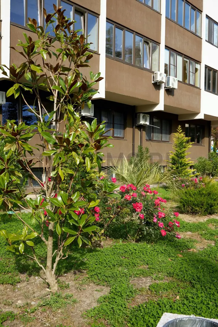 ЖК ДАГОМЫС ПАРК | фото 4 | id-14153 ЖК ДАГОМЫС ПАРК - новостройка комфорт-класса | фото 4 | id-14153