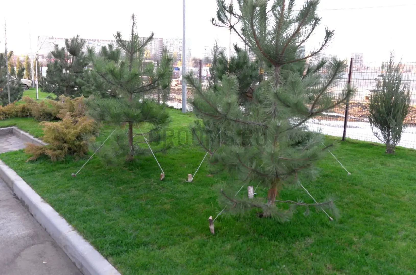 ЖК ВОСТОЧНЫЙ ПАРК | фото 19 | id-13482 ЖК ВОСТОЧНЫЙ ПАРК - новостройка комфорт-класса | фото 19 | id-13482