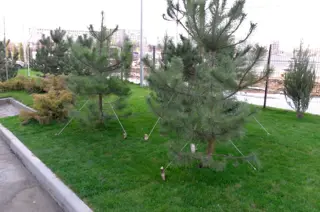 ЖК Восточный парк - фото 19